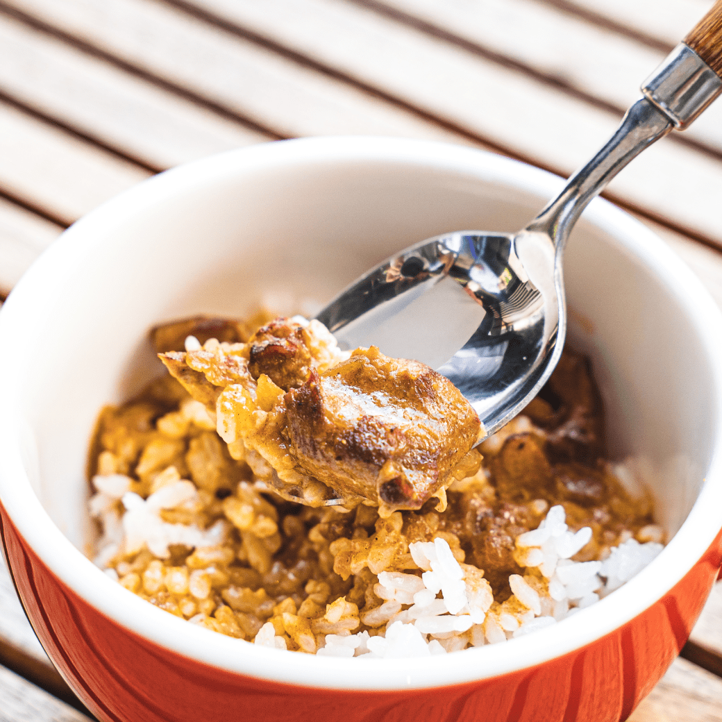 CANVAS original curry